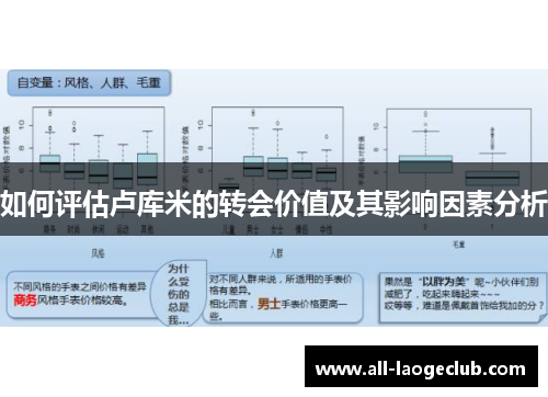 如何评估卢库米的转会价值及其影响因素分析