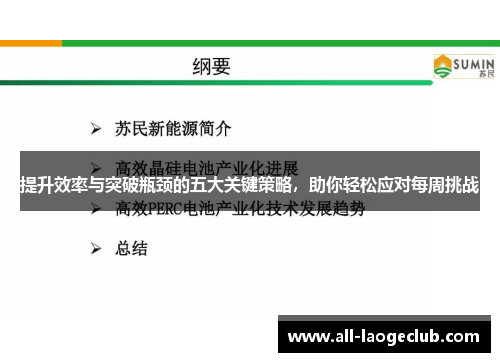 提升效率与突破瓶颈的五大关键策略，助你轻松应对每周挑战